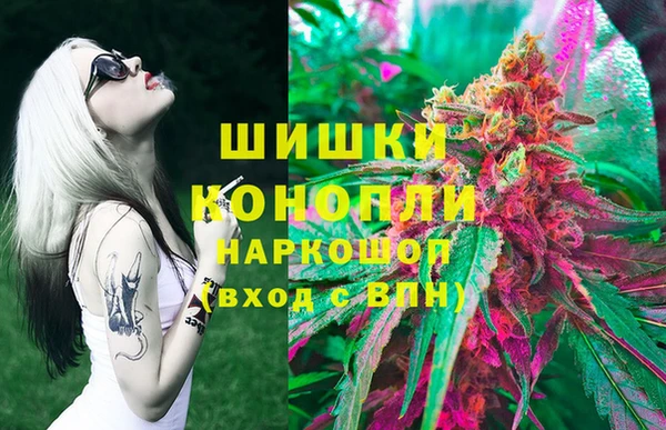шишки Бугульма