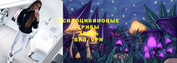шишки Бугульма