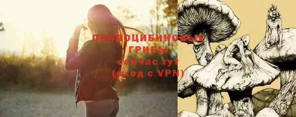 бошки Бородино