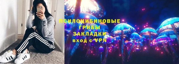 бошки Бородино