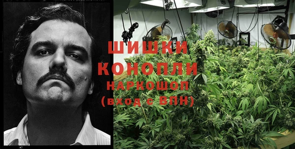 шишки Бугульма