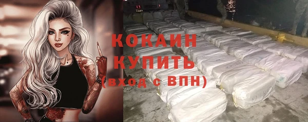 шишки Бугульма