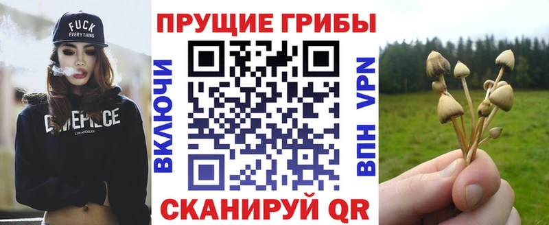Псилоцибиновые грибы мухоморы  где купить   Берёзовка 