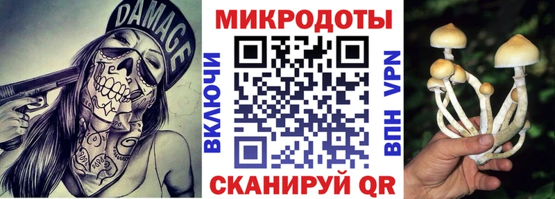 Псилоцибиновые грибы Cubensis Берёзовка
